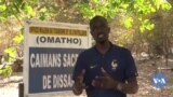 🇲🇱Mali Bougouni mara Dugu Didadi seli hukumu kɔnɔ