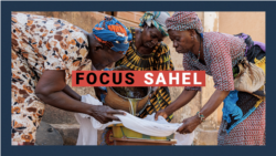 Focus Sahel, épisode 35 : les crises environnementales