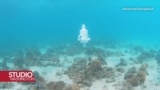 Umjetna inteligencija, podvodni dron i spašavanje koralja
