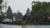CALIFORNIA TORMENTAS