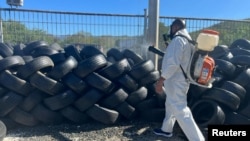 Seorang petugas menyemprotkan cairan untuk membunuh nyamuk di wilayah Penuelas, Puerto Rico, pada 27 Maret 2024, setelah jumlah kasus demam berdarah melonjak di negara tersebut. (Foto: Reuters/Ricardo Ortiz)