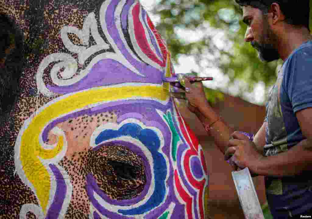 A mahout paints his elephant on the eve of the annual Rath Yatra, or chariot procession, outside the Jagannath temple in Ahmedabad, India.