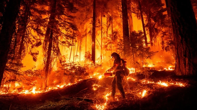 Crews fight revived Park Fire in California