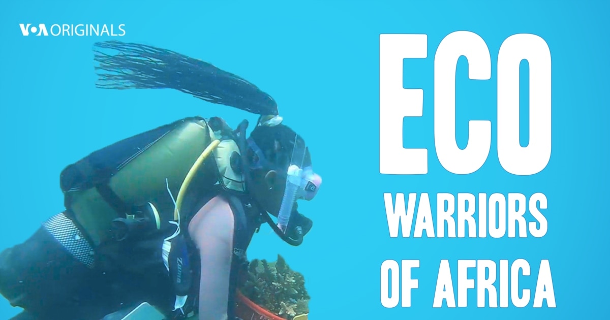 Eco-Warriors: The Animated Documentary Series on Climate Justice view 4