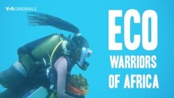 Eco Warriors of Africa