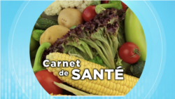 Carnet de santé : le bien-être