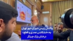 واکنش رییس شورای شهر تهران به «خشکاندن عمدی و قطع» درختان پارک چیتگر