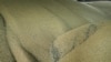 Архівне фото: Зерно в порту в Ізмаїлі