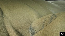 Grain lay at a grain port in Izmail, Ukraine, April 26, 2023. The European Commission said Friday it had reached a deal in principle to allow the transit of Ukrainian grain to resume through five European Union countries that had imposed restrictions.