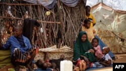 Le réfugié somalien Ugash Adan Abdulahi (L) qui a parcouru 500 km avec ses deux femmes et ses neuf enfants est assis avec sa femme Shamsa Abdeekrashid Muhamud et leurs enfants dans leur abri de fortune au camp de réfugiés de Dadaab,