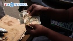 🌍Farafina Ngun Kunafoniw Sanga Kelin kono