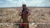 Mɔgɔ kelen bɛ sa kɔngɔ fɛ sanga 36 o sanga 36 la, Etiyopi, Kenya ani Somali cɛ, k’a sɔrɔ mɔgɔ miliyɔn 18,6 bɛ dumuniko gɛlɛya jugu la 