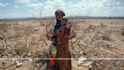 Mɔgɔ kelen bɛ sa kɔngɔ fɛ sanga 36 o sanga 36 la, Etiyopi, Kenya ani Somali cɛ, k’a sɔrɔ mɔgɔ miliyɔn 18,6 bɛ dumuniko gɛlɛya jugu la 