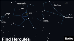 A guide provided by NASA shows how to locate T Coronae Borealis — known as T CrB. NASA advises to first look for the constellation Hercules, then scan between Vega and Arcturus to find T CrB.