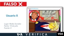 Es en la red social X donde circulan las imágenes falsas del expresidente Donald Trump en un ataúd. Diseño: Mila Cruz.