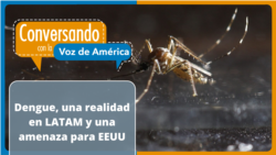 El dengue y su impacto en los sistemas de salud
