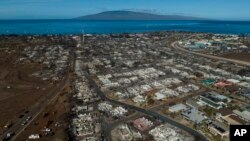 2023年8月发生在夏威夷州毛伊岛的大火后景象