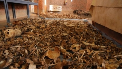 【レア盤】SUFFERING DOWN「Massive Genocide ～」 History Shows US Genocide Decree No Guarantee of Action