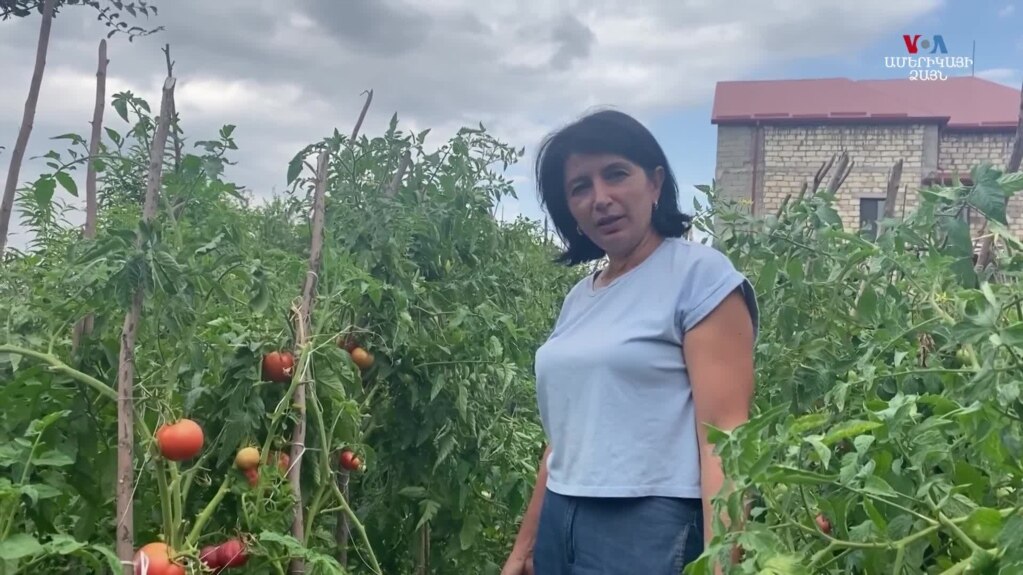 Դասախոս, այգեգործ, թռչնաբույծը՝ շրջափակված Ստեփանակերտից. Մի կոջ պատմություն