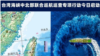 美国议长预定会见蔡英文当日 中国突然宣布在台湾海峡实施“联合巡航巡查”