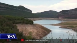 Spanjë, efektet e ngrohjes globale ulin prodhimin e ullirit 
