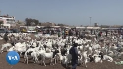 Le Sénégal se prépare à fêter la Tabaski