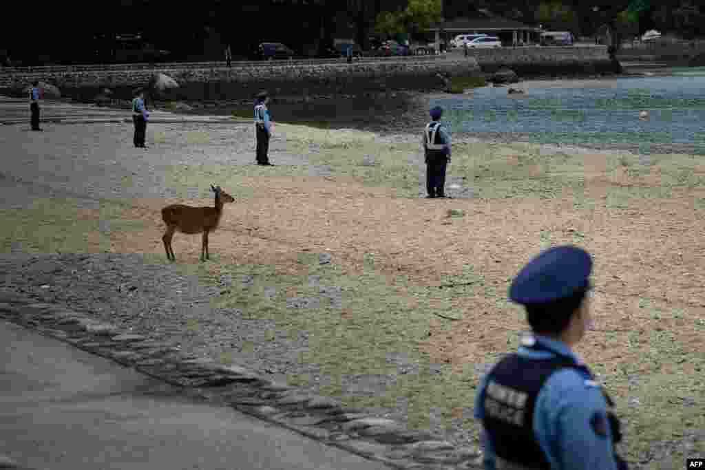 Policemen stand guard as the motorcade of U.S. President Joe Biden travels to the Itsukushima Shrine in Miyajima Island during a visit as part of the G-7 Leaders' Summit.