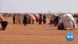 Failed Rainy Season Leaves Kenyans Facing Food Insecurity