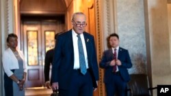 Udhëheqësi i shumicës demokrate në Senat, Chuck Schumer