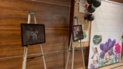 هند کې د څارویو د پالنې او په هغوی د شفقت لپاره جشن 