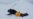 Through the Lens: Climate Change Thaws World's Northernmost Research Station