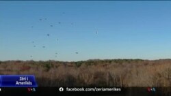 Një njeri i vetëm mund të drejtojë një mori dronësh 