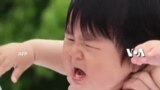 Sumo Bayi, Adu Tangis Paling Kencang!