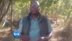 Zimparks Yopa Varimi Mazano eKurima Zvirimwa Zvinodzinga Nzou Nedzimwe Mhuka dzeMusango Kuti Dzisapadze Zvirimwap