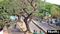 চট্টগ্রাম টাইগারপাস থেকে সেন্ট্রাল রেলওয়ে বিল্ডিং (সিআরবি) মুখী শতবর্ষী গাছ।