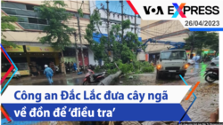 Công an Đắc Lắc đưa cây ngã về đồn để ‘điều tra’ | Truyền hình VOA 26/4/23