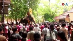 Слон почестен со специјална награда во Јужна Индија