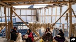 Sejumlah perempuan Afghanistan tampak menenun wol untuk dijadikan bahan pembuatan karpet di sebuah pabrik di Kabul, Afghanistan, pada 6 Maret 2023. (Foto: AP/Ebrahim Noroozi)