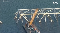 Кран работи на урнатиот мост во Балтимор