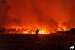 Flames burn a forest during a wildfire in Avantas village, near Alexandroupolis town, in the northeastern Evros region, Greece, Aug. 21, 2023. Dozens of blazes broke out amid hot, dry and windy weather that sucked moisture from vegetation.