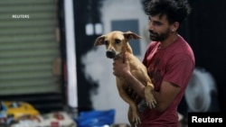 Cachorrolandia: un refugio improvisado para perros tras el paso del huracán Beryl por México