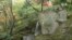 Nature | Seattle Japanese Garden