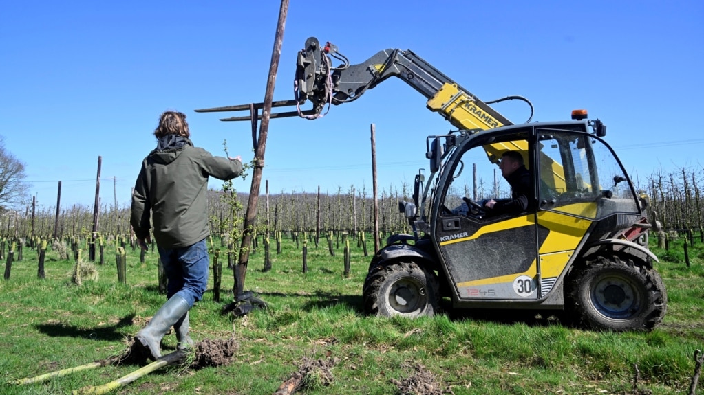 Low Profits, High Costs Equal Less from Britain’s Farms