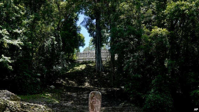 FILE - A view of the archaeological site Yaxchilan in Chiapas state, July 9, 2022.
