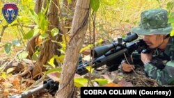 ကရင်ပြည်နယ်ထဲက လက်နက်ကိုင်တပ်ဖွဲ့တစ်ခုဖြစ်တဲ့ Cobra column