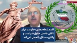 قاسم شعله‌سعدی: حکومت ایران ناقض فاحش حقوق بشر است و وکلای مستقل را تحمل نمی‌کند