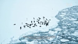 Antarctica’s Thwaites 'Doomsday' Glacier