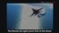 US Military Video of Drone Incident over Black Sea