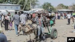 FILE—A man guides a donkey that carries a luggage of refugees fleeing from Sudan to Ethiopiain Metema, on May 4, 2023. 