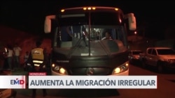 Aumenta flujo migratorio irregular por territorio hondureño 